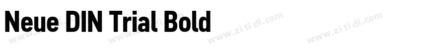 Neue DIN Trial Bold字体转换